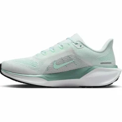 Nike · AIR ZOOM PEGASUS 41