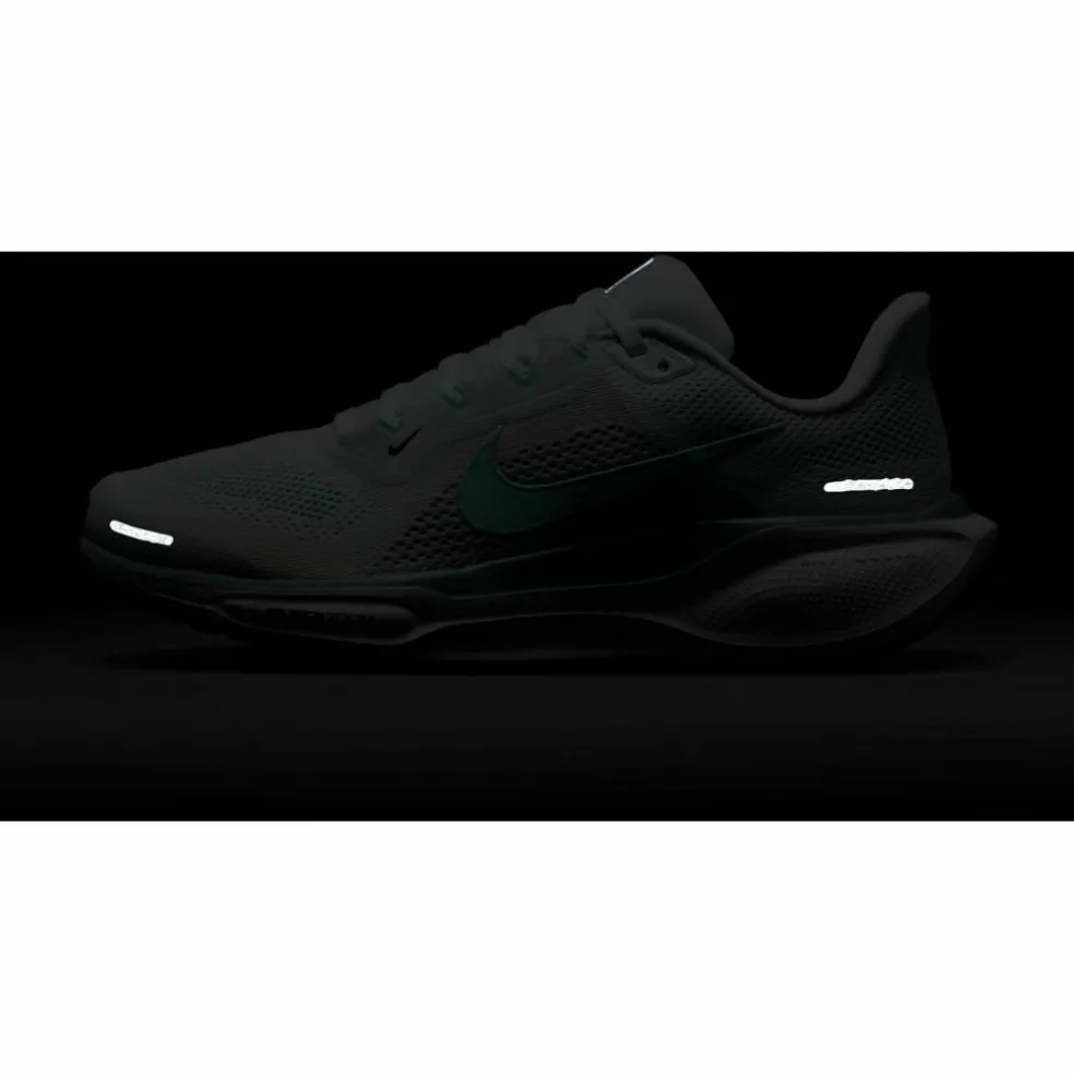 Nike · AIR ZOOM PEGASUS 41