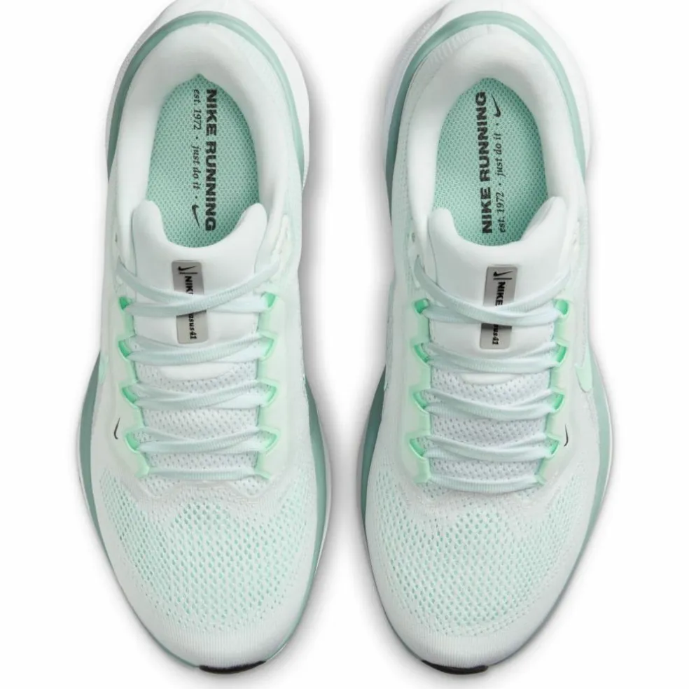 Nike · AIR ZOOM PEGASUS 41
