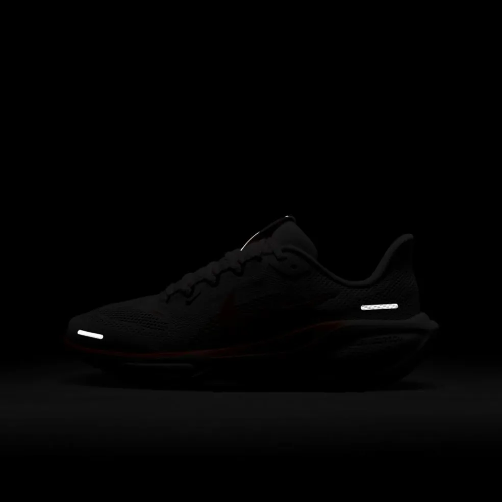 Nike · AIR ZOOM PEGASUS 41 GS