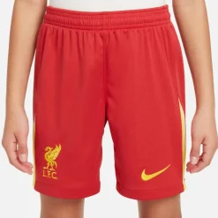 Nike · FC Liverpool 24-25 Heim