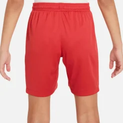 Nike · FC Liverpool 24-25 Heim