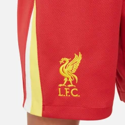 Nike · FC Liverpool 24-25 Heim