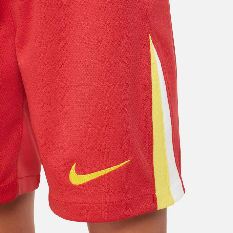 Nike · FC Liverpool 24-25 Heim