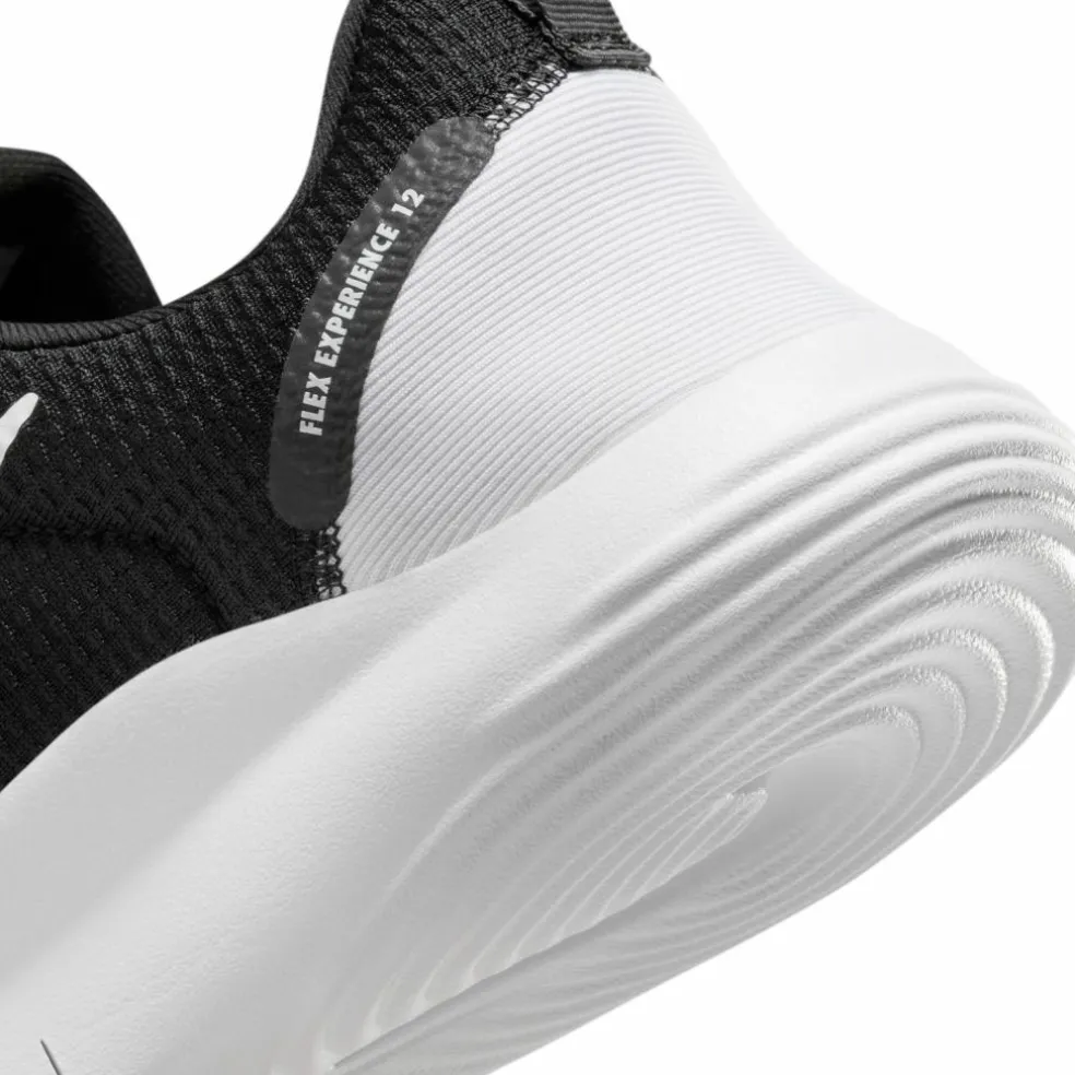 Nike · FLEX EXPERIENCE RN 12