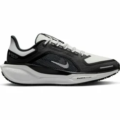 Nike · GTX AIR ZM PEGASUS 41 GTX