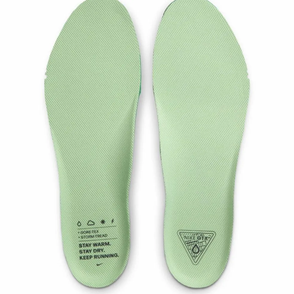 Nike · GTX AIR ZM PEGASUS 41 GTX