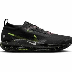 Nike · GTX PEGASUS TRAIL 5 GTX