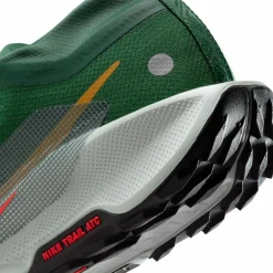 Nike · GTX REACTX PEGASUS TRAIL 5 GTX