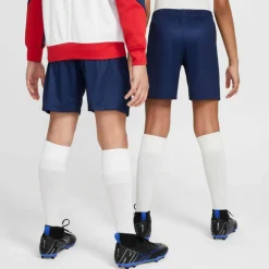 Nike · Paris Saint-Germain 24-25 Heim