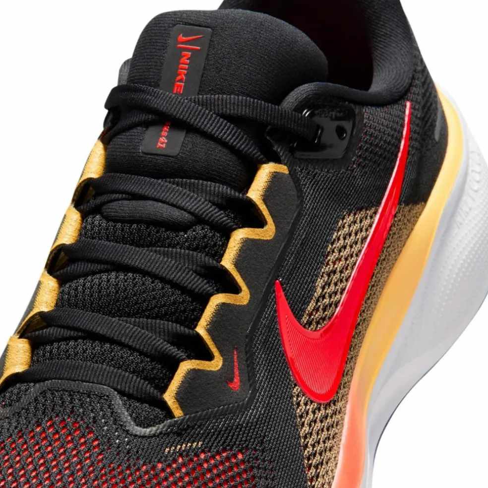 Nike · PEGASUS 41