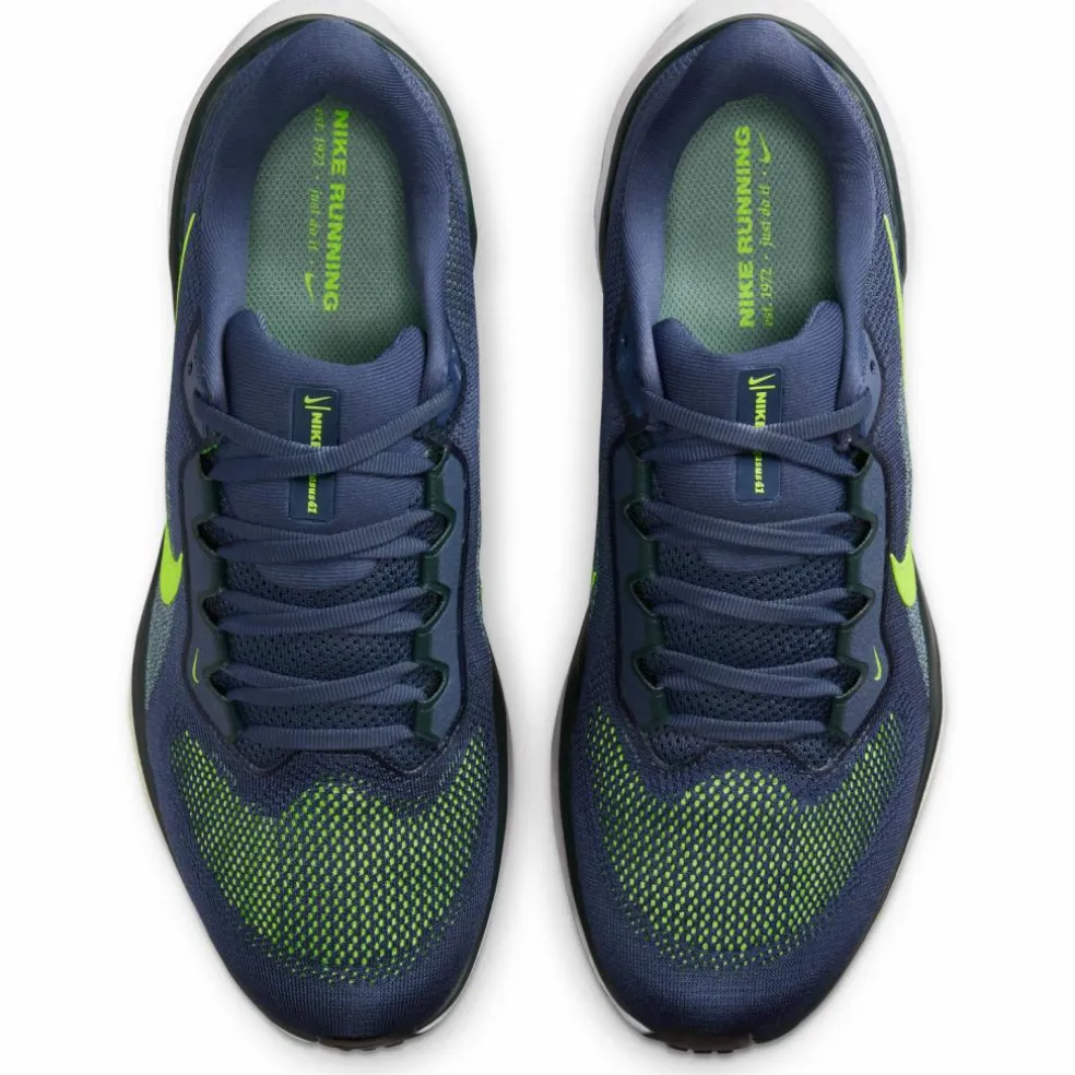 Nike · PEGASUS 41