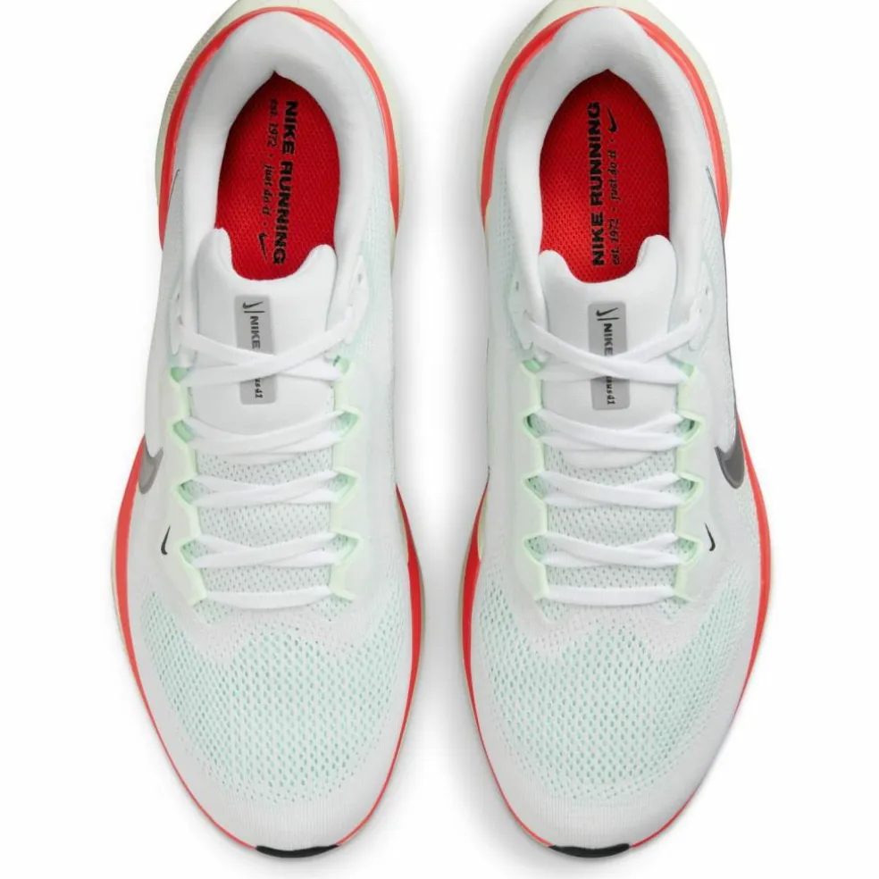 Nike · PEGASUS 41
