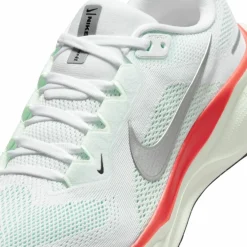 Nike · PEGASUS 41
