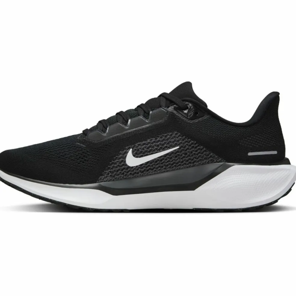 Nike · PEGASUS 41