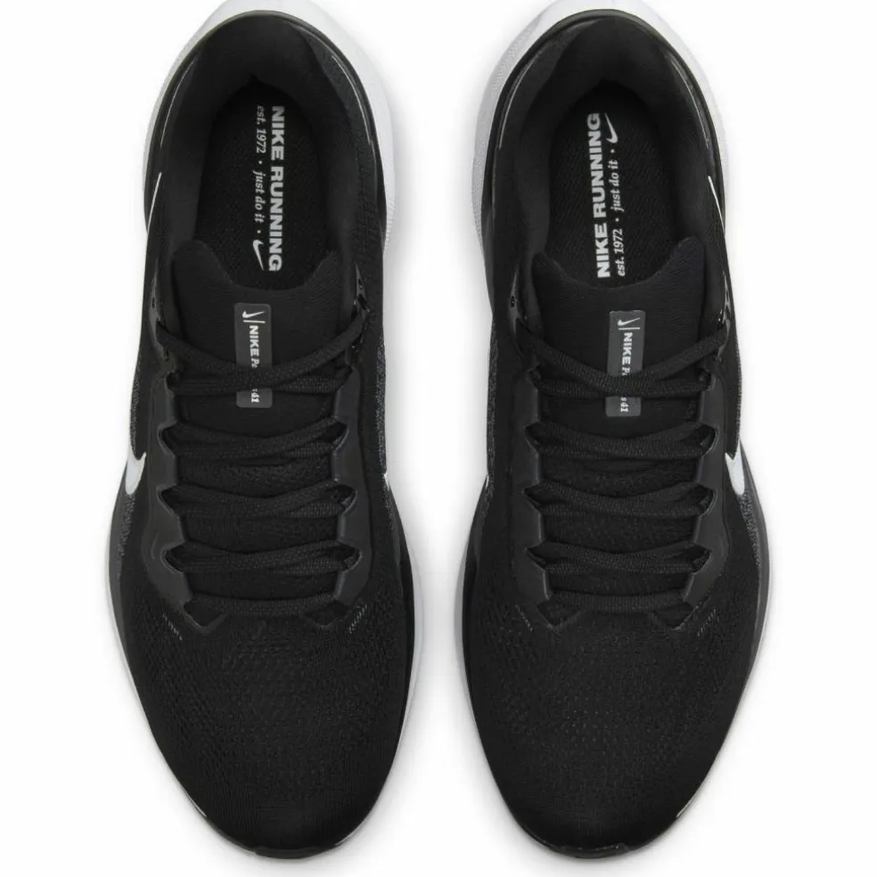 Nike · PEGASUS 41