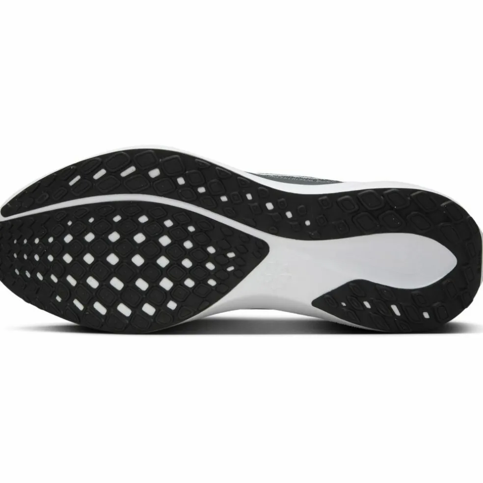 Nike · PEGASUS 41
