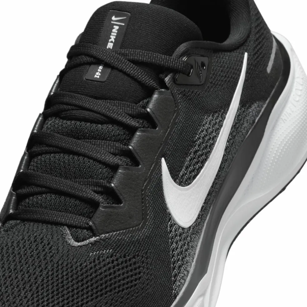 Nike · PEGASUS 41