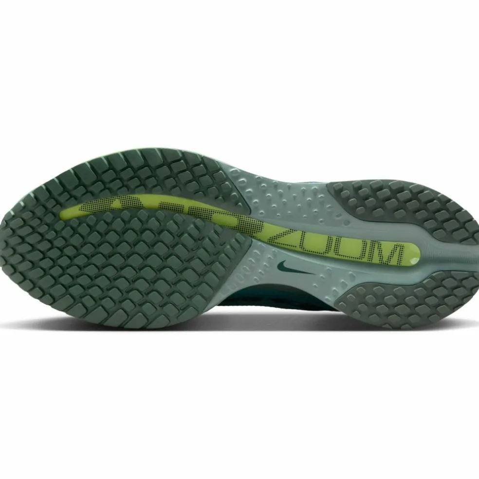 Nike · PEGASUS PREMIUM