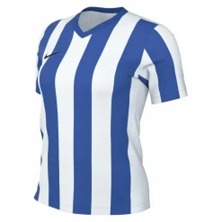 Nike · Stripe Divison V Trikot Damen