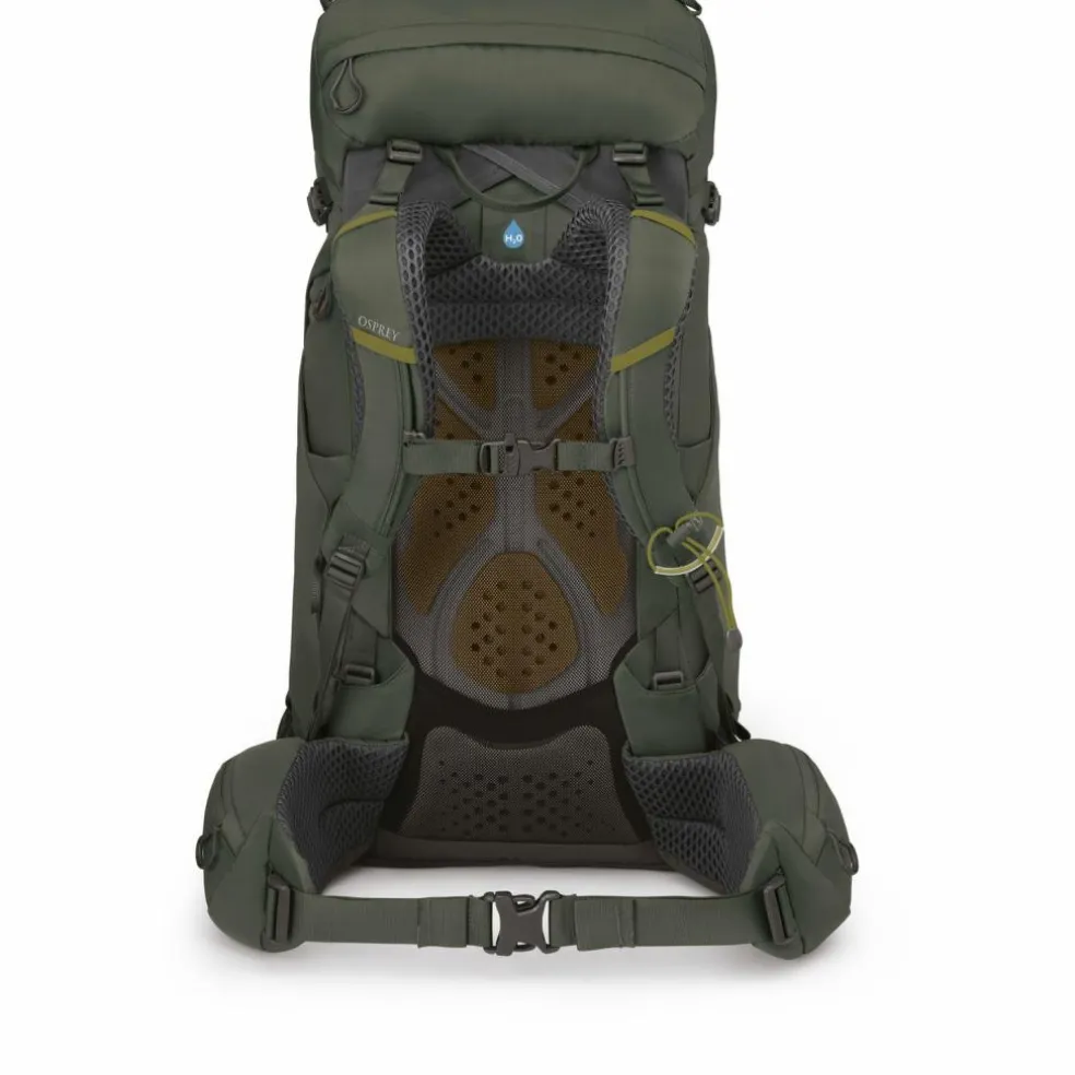 Osprey · Kestrel 38