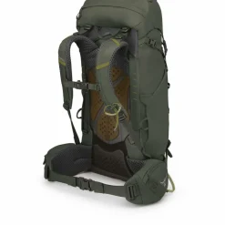 Osprey · Kestrel 38