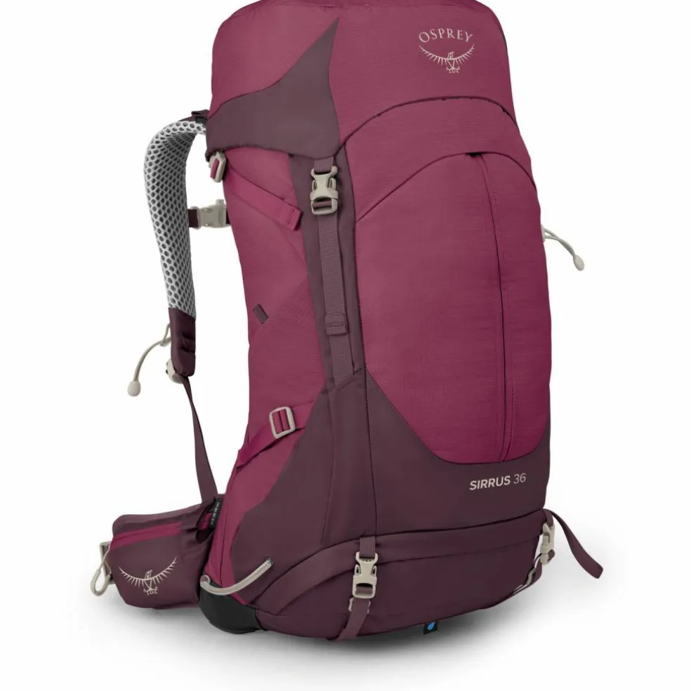 Osprey · Sirrus 36
