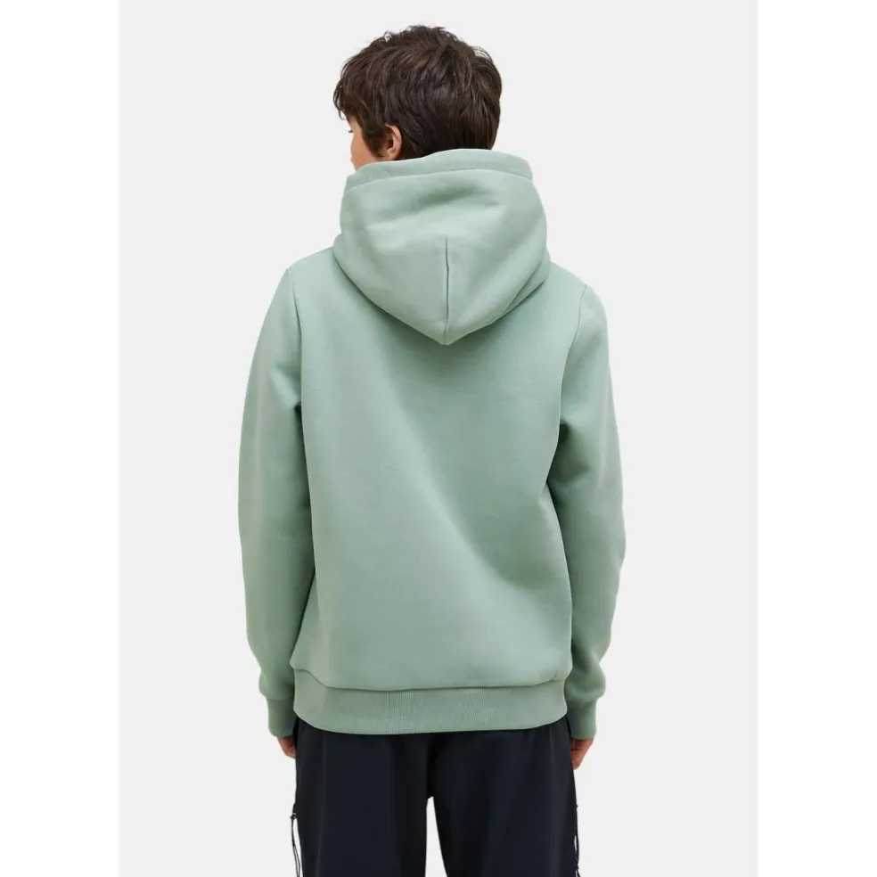 Peak Performance · W Original Small Logo Hood