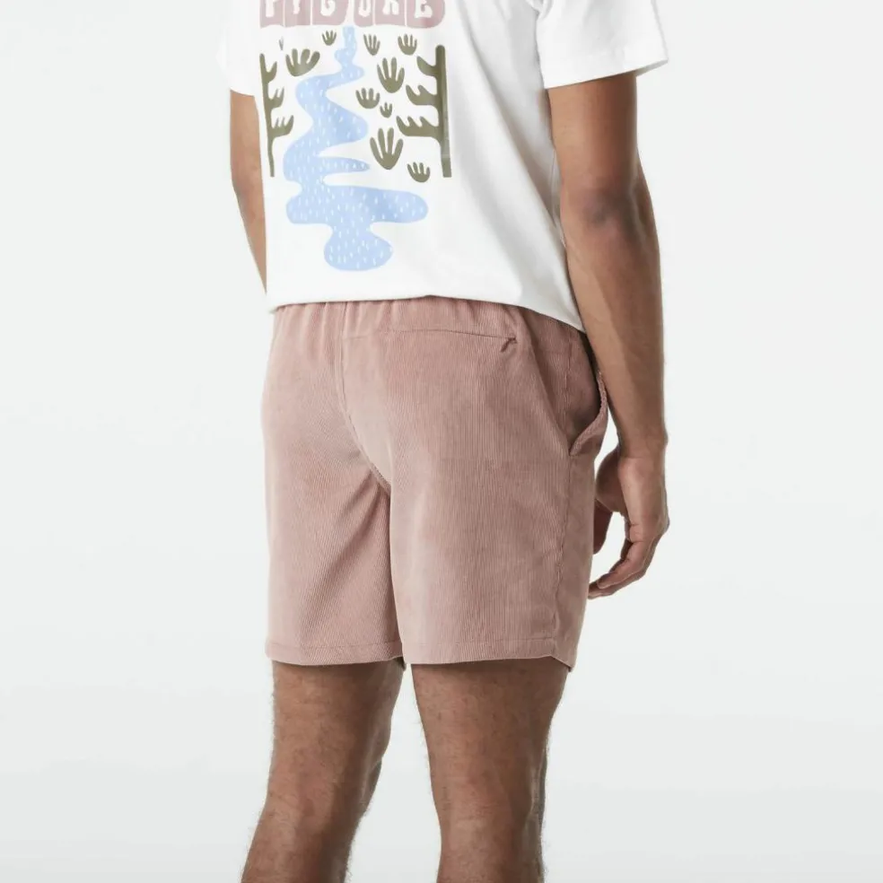Picture · NOLLUR