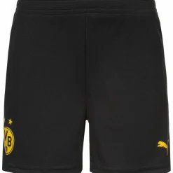PUMA · Borussia Dortmund 25/26 Heim