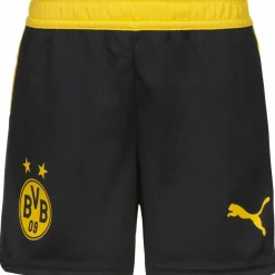 PUMA · Borussia Dortmund 25/26 Heim