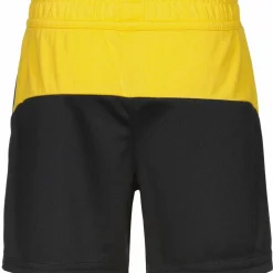PUMA · Borussia Dortmund 25/26 Heim