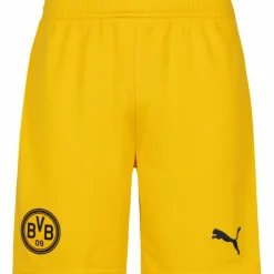 PUMA · Borussia Dortmund 25-26