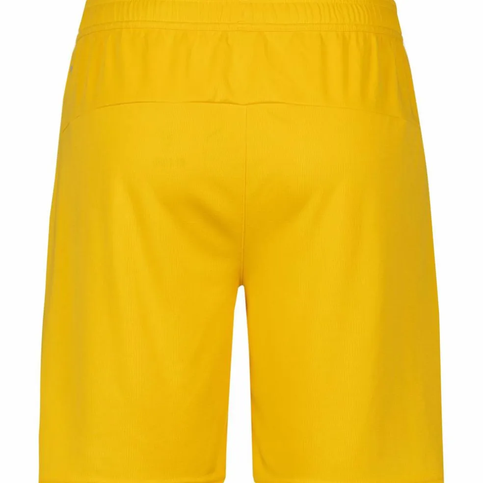 PUMA · Borussia Dortmund 25-26