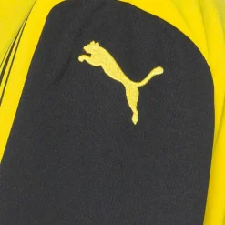 PUMA · Borussia Dortmund 24/25 Heim