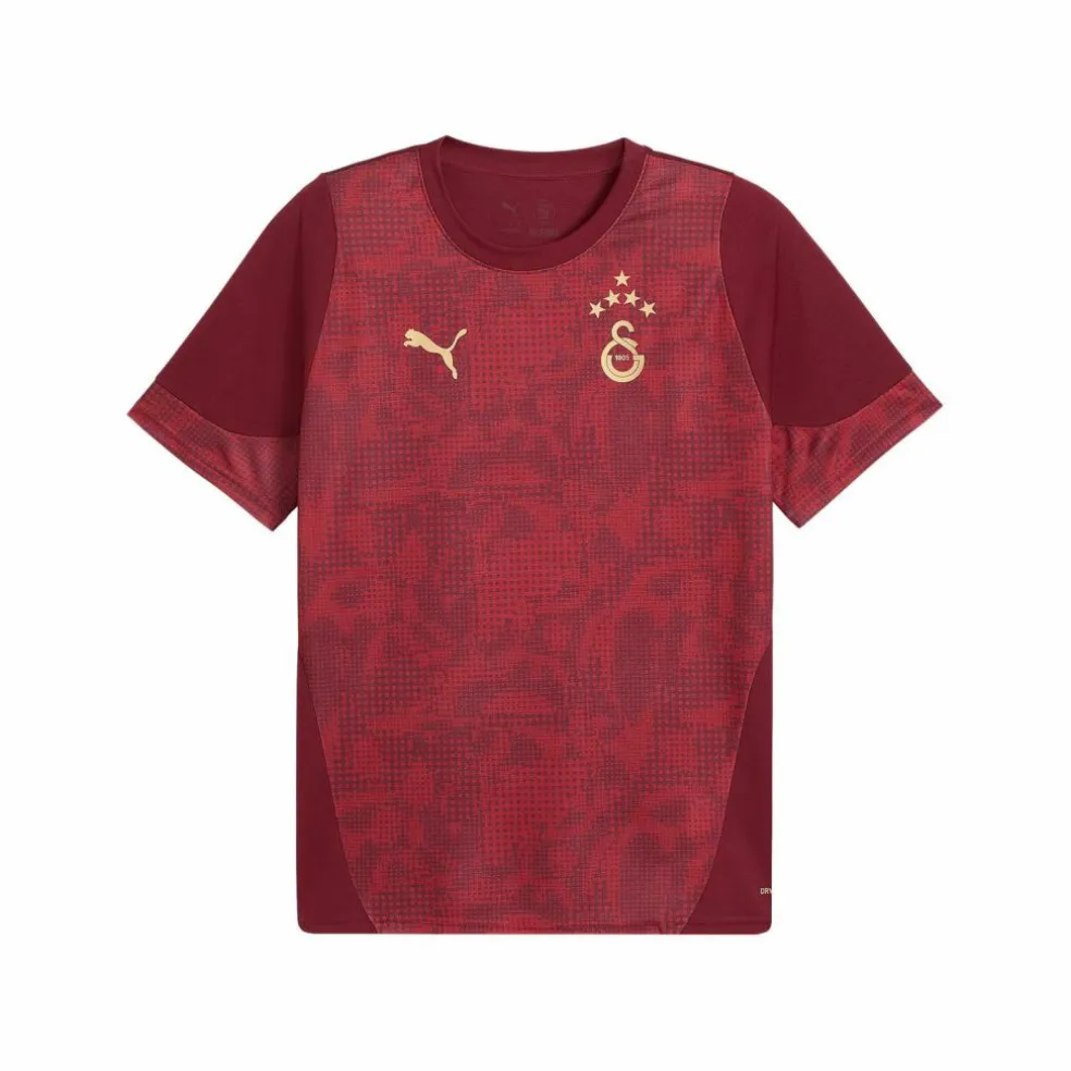 PUMA · Galatasaray Istanbul Trainingsshirt