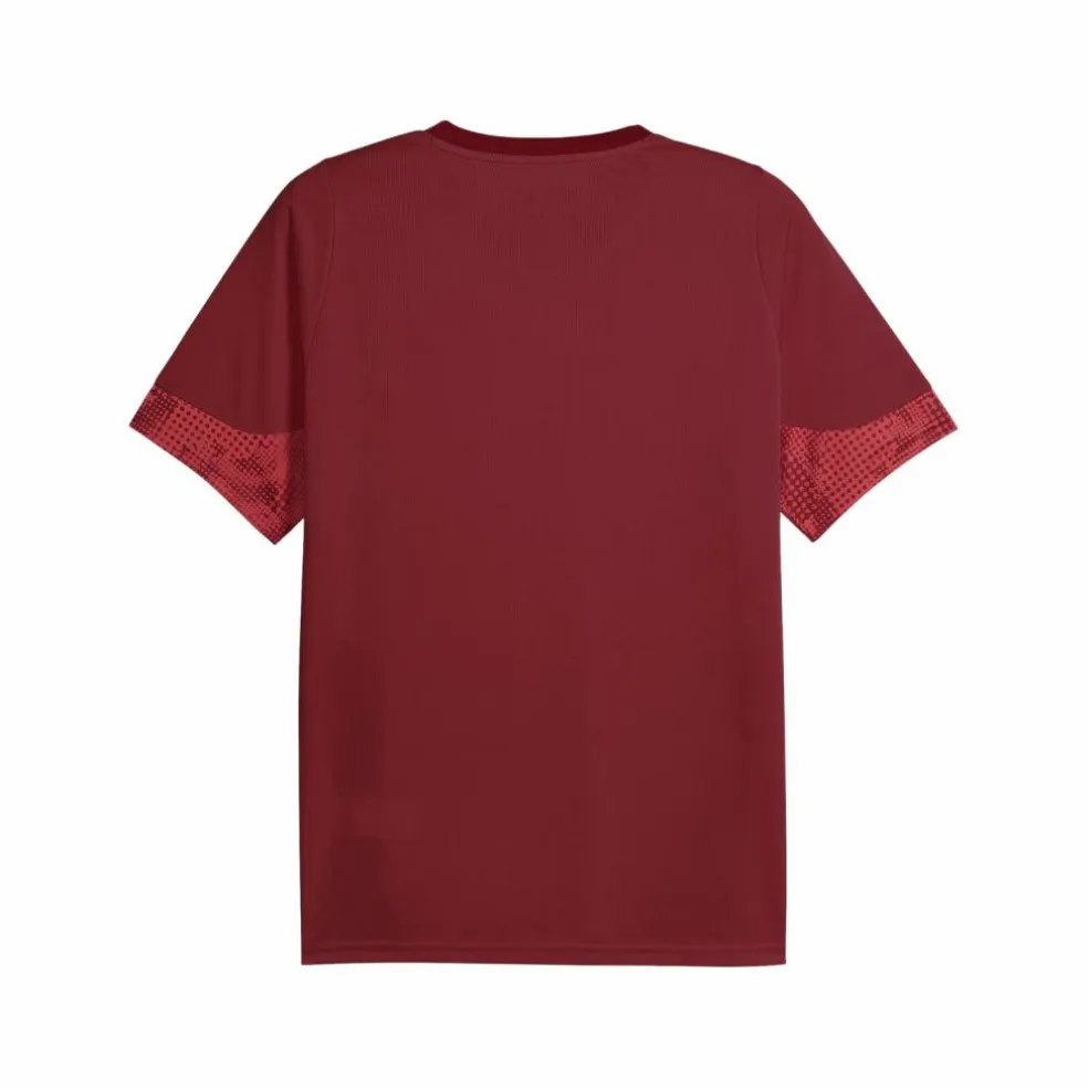 PUMA · Galatasaray Istanbul Trainingsshirt