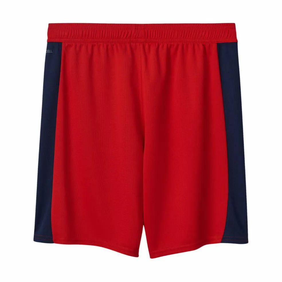 PUMA · SK Rapid Wien Short Auswärts 2025/2026