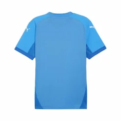 PUMA · teamFINAL Trikot