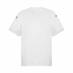 PUMA · teamFINAL Trikot