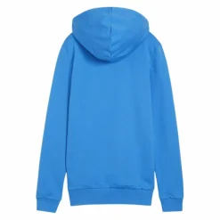 PUMA · teamGOAL Casuals Hoody Damen