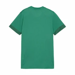 PUMA · teamGOAL Matchday Trikot Damen