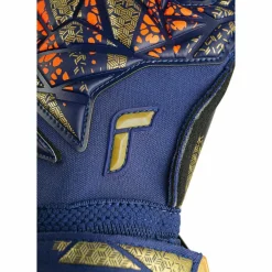 Reusch · Attrakt Gold X Evolution