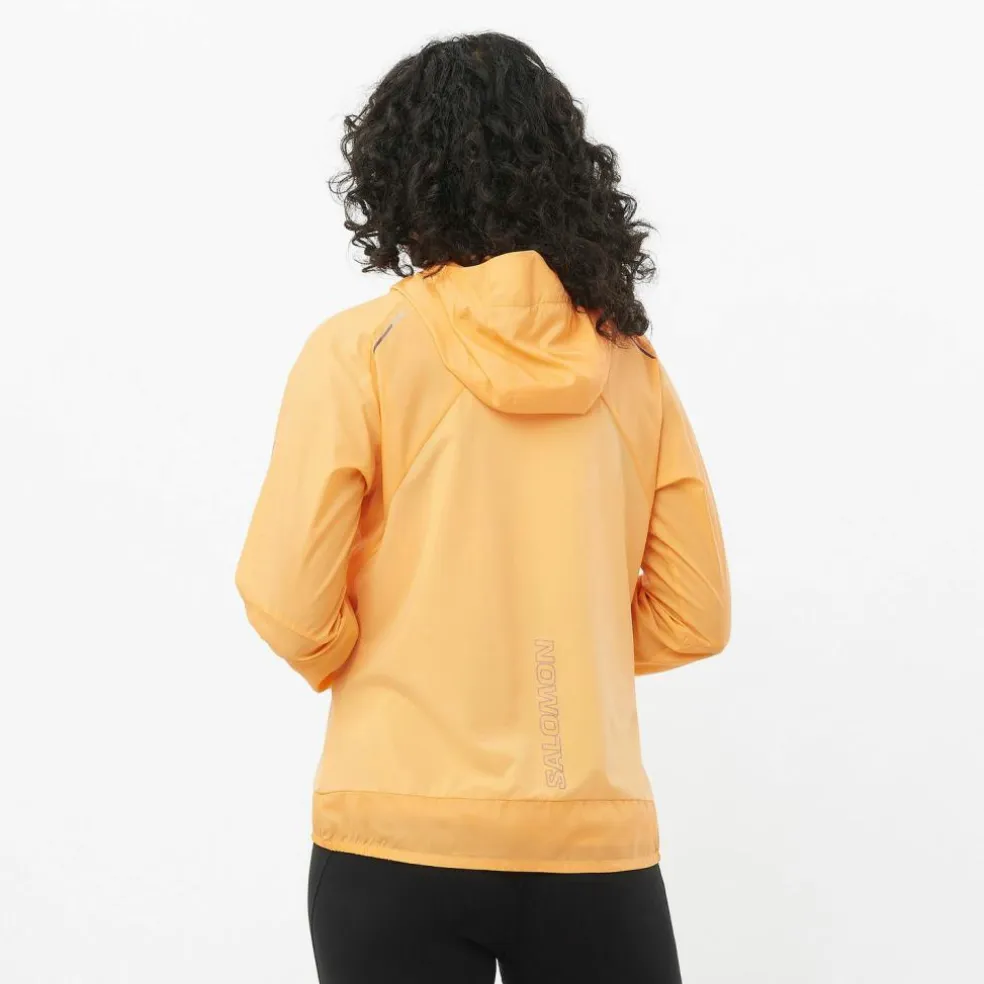 Salomon · BONATTI CROSS