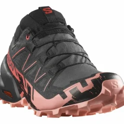 Salomon · GTX SPEEDCROSS 6 GTX