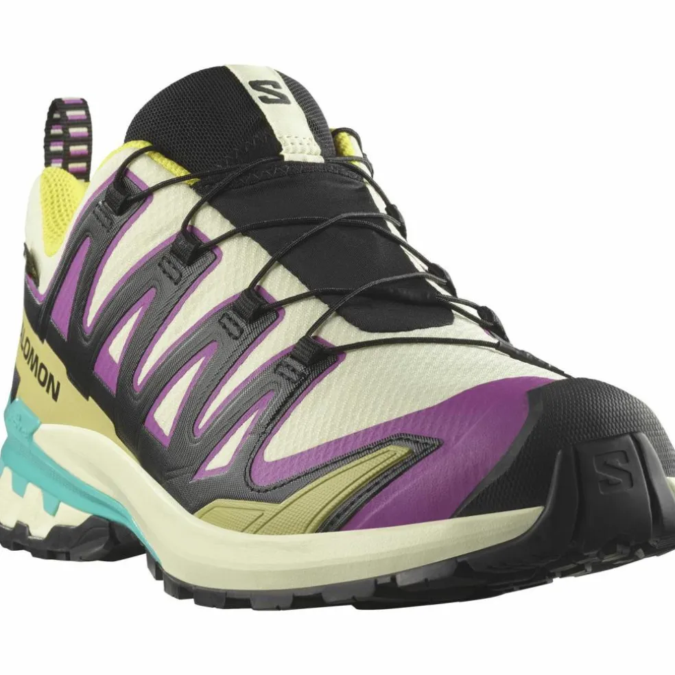 Salomon · GTX XA PRO 3D V9