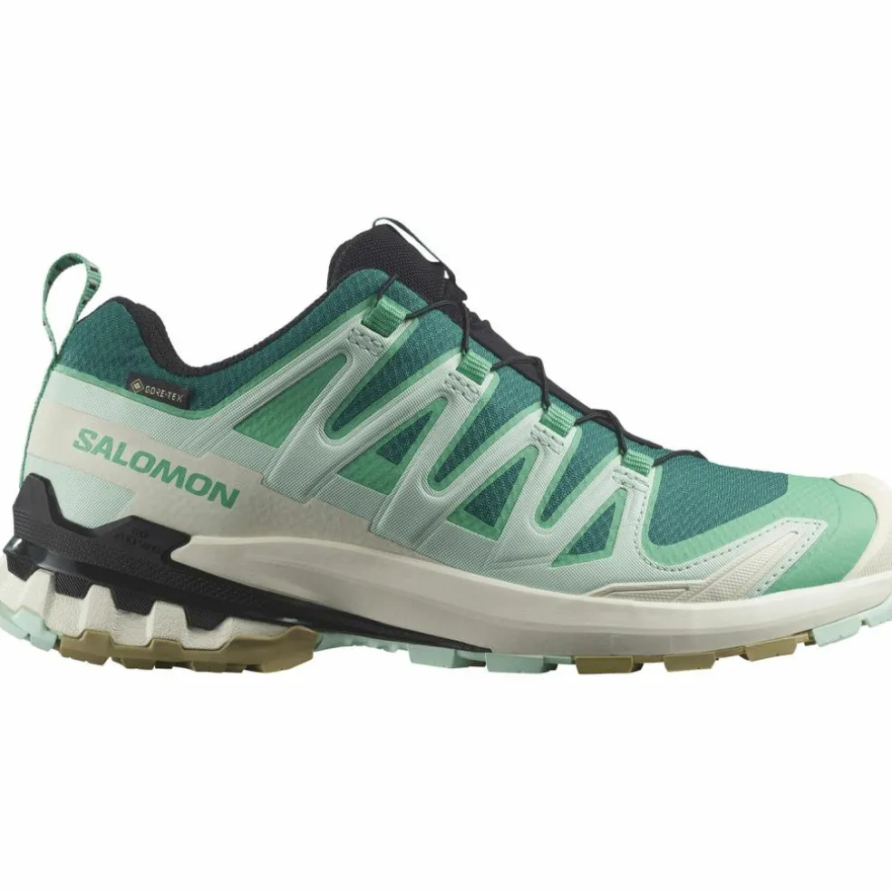 Salomon · GTX XA PRO 3D V9