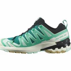Salomon · GTX XA PRO 3D V9