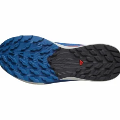 Salomon · SENSE RIDE 5