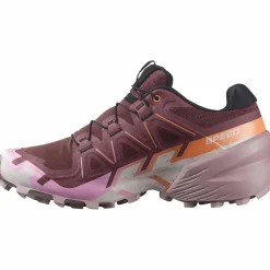 Salomon · SPEEDCROSS 6